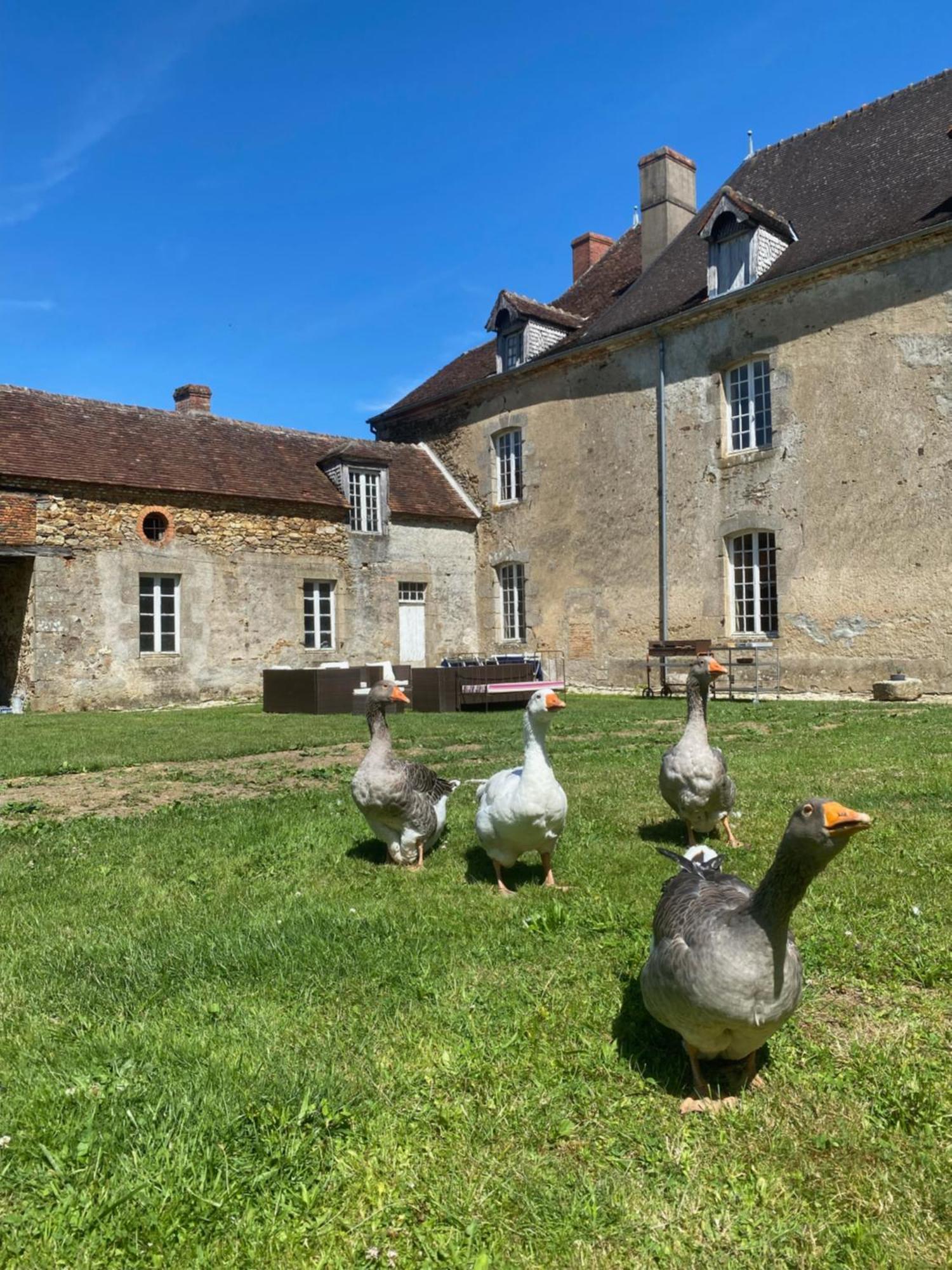 Chateau De Grandsagne Bonnat Kültér fotó